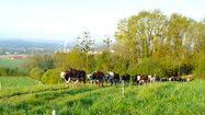 VOLONTÉ - L'union fait la force à la Journée agriculturelle de Castétis